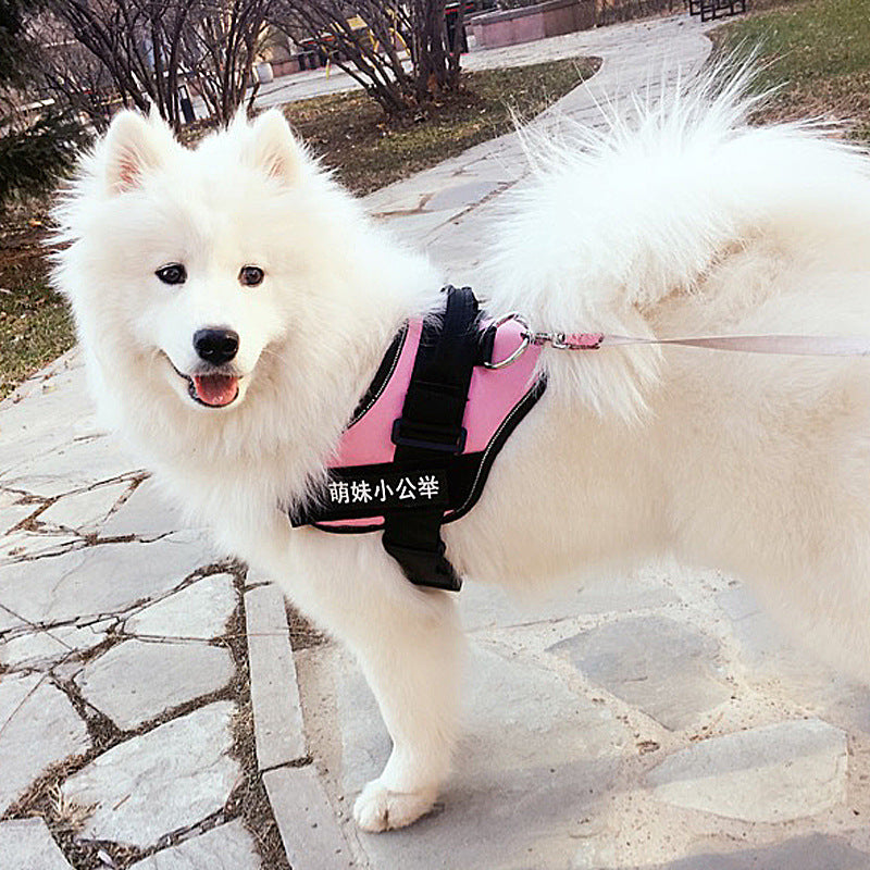 lookbook image shop_this_look_EcLGgQ